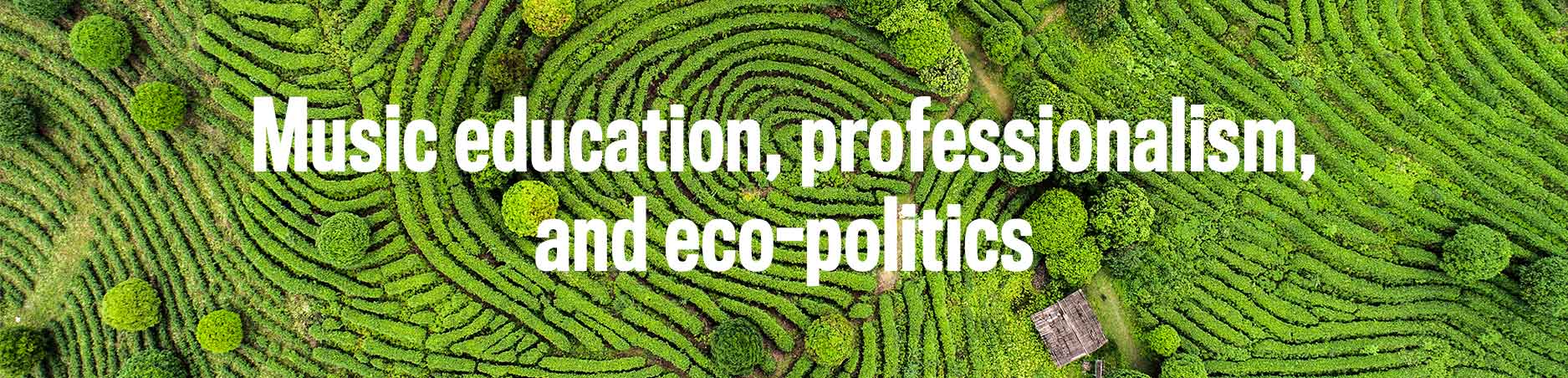 The name of the research project is Music education, professionalism, and ecopolitics.