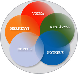 viisi palloa jotka ovat toistensa päällä osittain limittäin: "voima", "kestävyys", "notkeus", "nopeus", "herkkyys". infograafi.